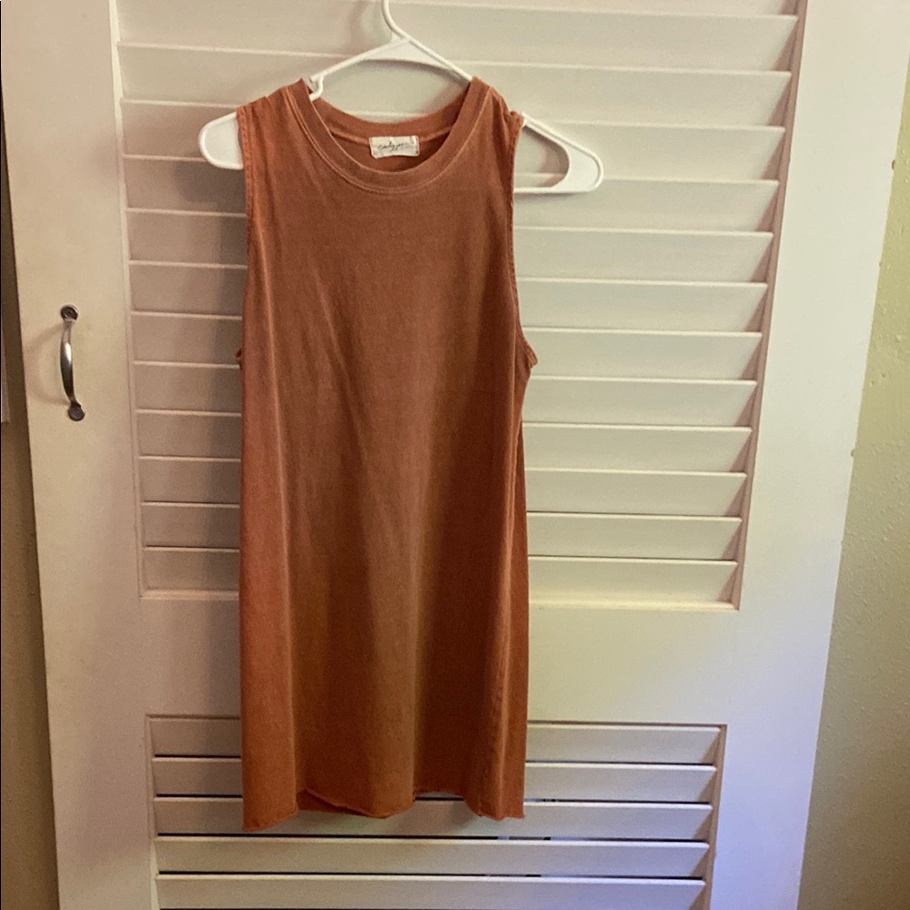 Carly Jean Los Angeles Rust Mini Dress